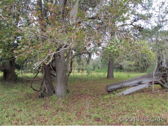 6177 SW 35 Drive, Gainesville, FL 32608